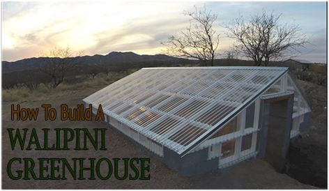 Greenhouse Built Into Hillside, Sunken Greenhouse Ideas, Walipini Greenhouse Diy, Underground Greenhouse Diy, Ground Greenhouse, Sunken Greenhouse, Greenhouses Diy, Walipini Greenhouse, Building Underground