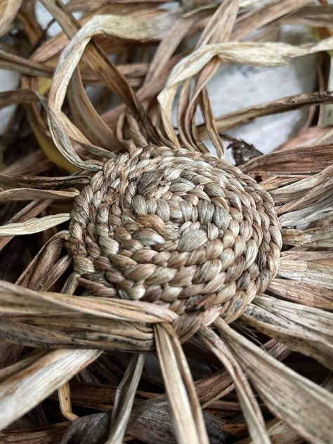 Baskets from the Garden: Harvesting Day Lily and Iris for Basket Weaving Weaving With Grasses, Bamboo Basket Weaving Diy, Matt Tommey, Leaf Weaving, Raffia Crafts, Harvest Day, Coconut Bowls, Weaving Baskets, Basket Weaving Diy