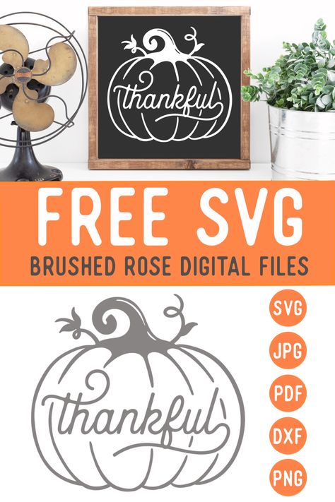 Fall Vinyl Projects, Free Fall Svg Files For Cricut, Cricut Projects Fall, Thanksgiving Cricut Projects, Fall Svg Free, Fall Svgs, Fall Cricut, Thankful Pumpkin, Cricut Svg Files Free