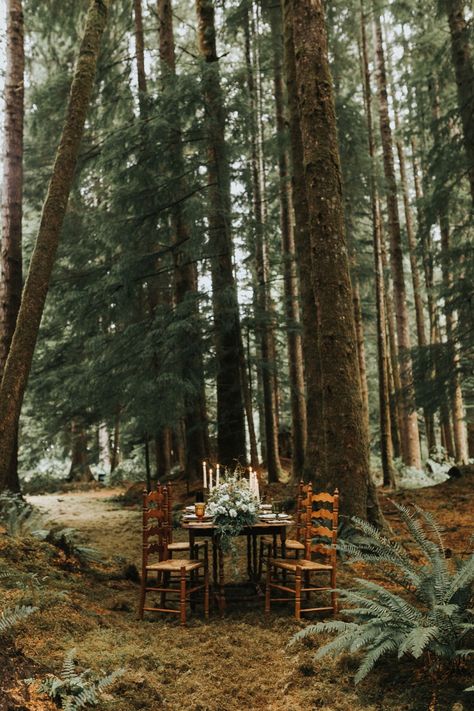 Forest Tablescape | Woodsy Elopement-Inspired Vow Renewal in Forks, WA | Kristle & Josh Mark Twain National Forest, Shawnee National Forest, Forest Poster, Pisgah National Forest, National Park Wedding, Olympic National Park, Location Photography, Woodland Wedding, Park Weddings