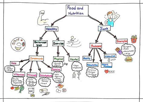 The whole concept of nutrition on a sheet of paper Food Mind Map, Nutrition In Plants, Nursing School Studying Cheat Sheets, Creative Mind Map, Science Fair Projects Boards, Bournemouth University, Nurse Educator, Food Chemistry, British Slang