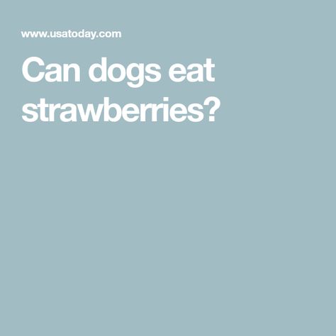 Can dogs eat strawberries? Can Dogs Eat Grapes, Can Dogs Eat Strawberries, Strawberry Health Benefits, Dog Wellness, Healthy Snacking, Strawberry Topping, Strawberry Yogurt, Low Calorie Snacks, How To Give