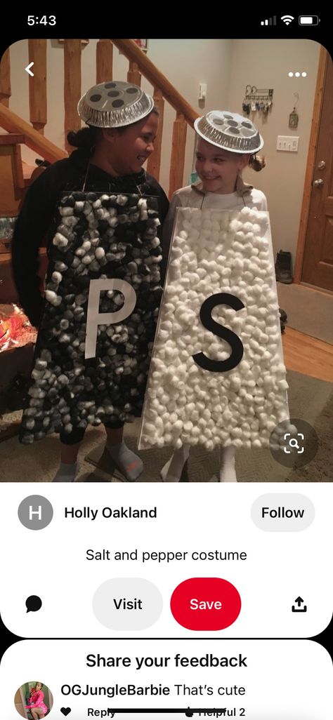 Salt And Pepper Costume, Beauty And The Beast Diy, Quick Halloween Costumes, Food Costumes, Funny Sports Memes, Clever Halloween Costumes, Diy Halloween Costume, Ghost And Ghouls, October Halloween