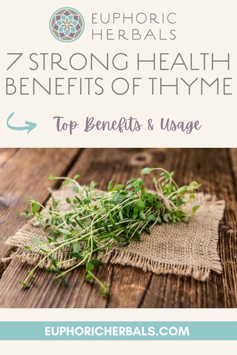 Thyme is a familiar enough herb in the kitchen but often overlooked when it comes to modern herbalism. However, there are powerful health benefits hidden in the tiny leaves of thyme, which has been used medicinally for thousands of years. Here's more about the powerful benefits of thyme and how to use this "common" herb for health. Thyme Herb Benefits, Thyme Medicinal Recipes, Thyme Benefits Health, How To Make Thyme Oil, Thyme Oil Benefits, Thyme Tea Benefits, Thyme Water, Benefits Of Thyme, Health Benefits Of Thyme