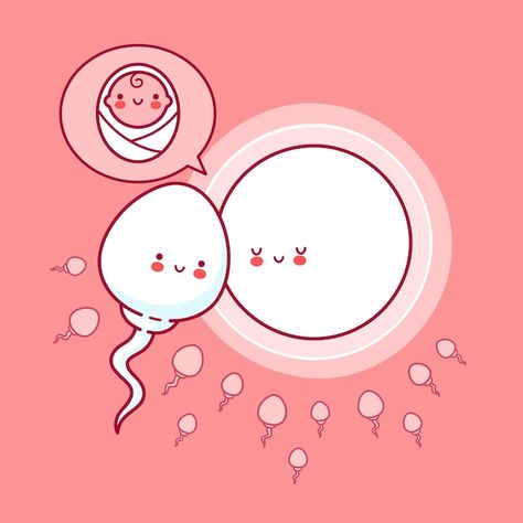 Hormone Illustration, Fertility Illustration, Pregnant Illustration, Sperm Cell, Line Cartoon, 3d Wallpaper Cute, Education Banner, Cartoon Kawaii, Beautiful Logos Design