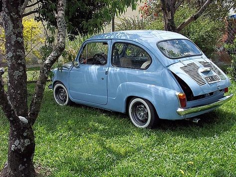 Fiat 600 Club - Pasión por el Fitito - La Celeste.. - Tu Fito Entre Rios, Fiat 600, Fiat Abarth, Fiat 500, R5, Cool Cars, Lotus, Classic Cars, Cars