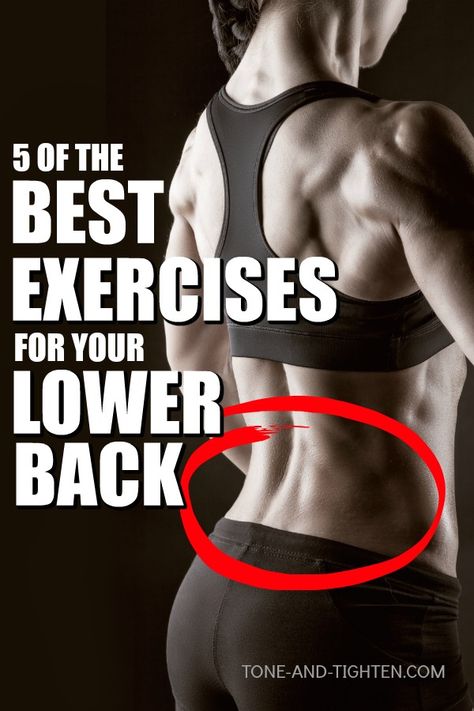 5 of the best at home exercises to strengthen and tone your lower back. Best Lower Back Exercises, Hypertrophy Workout, Lower Back Strengthening, Back Strengthening, Back Strengthening Exercises, Back Toning, Beachbody Workout, Fit Family, Lower Back Muscles