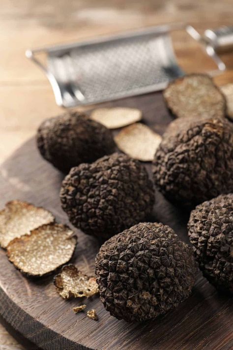 Truffles are edible fungi that are an expensive culinary delicacy. But what exactly is a truffle and what do they taste like? Why are they so expensive and which recipes include them? Find out everything you need to know in this Ultimate 101 Guide to Truffle. Truffle is a type of expensive, sought-after edible fungi... Read More What is a Truffle © You Say Potatoes. Truffle Risotto Recipe, Black Mushrooms, Truffle Mashed Potatoes, Truffle Burger, Black Truffles, Truffle Cream, Easy Truffles, Truffle Pasta, Summer Truffle