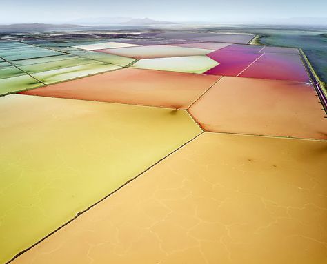 Saltern Study 12, Great Salt Lake, UT, 2015 David Burdeny, Fauvist Art, Great Salt Lake, Salt Ponds, Barnett Newman, Aerial Images, Willem De Kooning, Aerial Photograph, Colossal Art