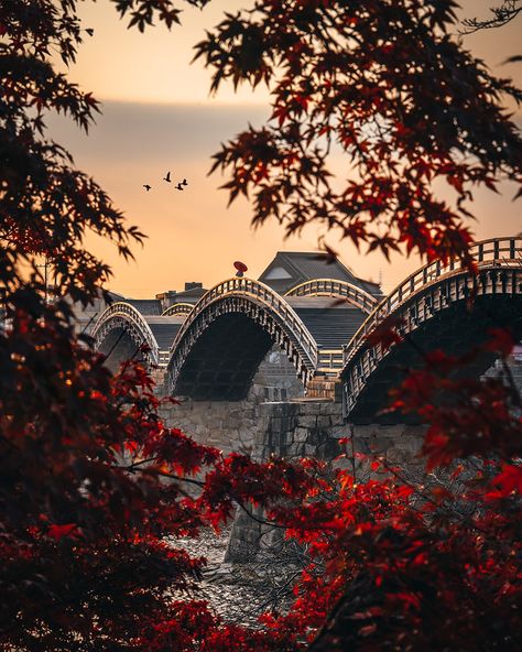 Japanese photographer Ryosuke Kosuge, aka RK, captures the beautiful patterns and symmetry that are part of everyday life in East Asia. Famous Bridges, Pattern Photography, Country Landscaping, Visit Japan, Sense Of Place, Asia Travel, Go Outside, Beautiful Photography, Japan Travel