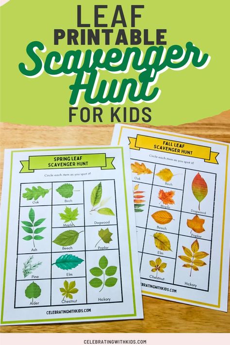 Embark on a nature-filled journey with our Leaf Scavenger Hunt for kids! Download the free printable and discover the diversity of leaves in your backyard or local park. A fun, engaging way to learn about the environment. Leaf Hunt Printable, Leaf Scavenger Hunt, Leaf Hunt, Leaf Printables, Leaf Collage, Scavenger Hunt For Kids, Autumn Activities For Kids, Scavenger Hunts, Camp Ideas