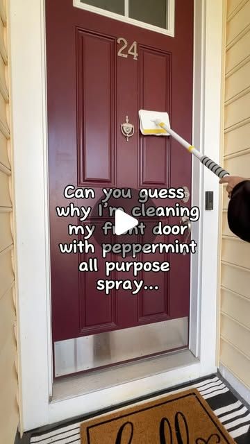 Debbie Sandler | Cleaning, Organizing, Home Tips on Instagram: "… 🤷🏼‍♀️what’s your guess? I stock up on this seasonal lo-tox multi purpose spray every year and my home smells like candy canes!  BONUS - it helps repel spiders🕷️and pests 🐜.   I also use there peppermint air freshener, soy candle, and dishsoap. Tis the season!   Drop CLEAN and I’ll send you the info or you can find it in my Amazon Storefront under “Holiday Ready Cleaning”   #cleaninghacks #cleaningtips #cleaningproducts #holidaycleaning #cleanhome #cleaningmotivation #cleaningtipsandtricks #instaclean #cleaningproducts #wallcleaning #deepcleaning #housekeeper #howtoclean" Vinegar Cleaning Hacks, Wall Cleaner, Cleaning Grout, Holiday Cleaning, Bug Off, Rust Removers, Cleaning Diy, Essential Oils Cleaning, Easy Cleaning Hacks