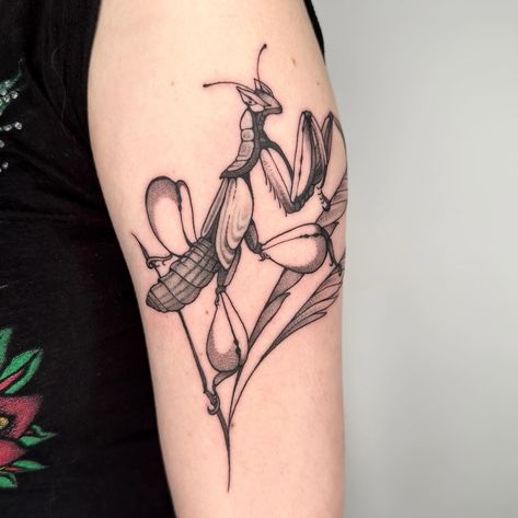 Orchid mantis 🥰 Mantis Tattoo, Orchid Mantis, Cute Tattoos, Blackwork, I Tattoo, Geometric Tattoo, Orchids, Tattoos, On Instagram