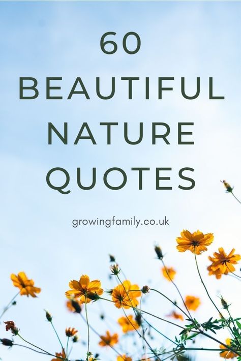 Quotes Of Nature Beauty, Nature Meditation Quotes, Summer Nature Quotes, Quote About Nature Beauty, Quotes About The Beauty Of Nature, Yoga Nature Quotes, Appreciate Nature Quotes, Nature Positive Quotes, Quotes On Beauty Of Nature