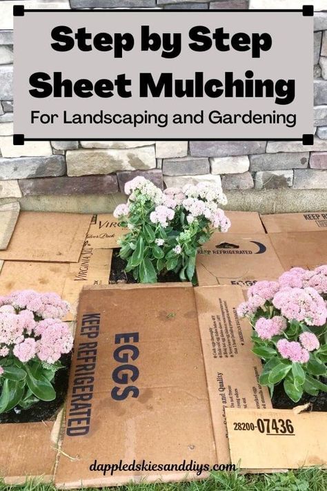 A step by step guide to DIY sheet mulching for foundation planting and gardening! Sheet mulching uses cardboard and mulch for weed control and to help to enrich the soil. Lawn Landscaping Ideas, Forest Yard, Circle Patio, Garden Edger, Sheet Mulching, House Gardening, Garden Mulch, Grass Weeds, Types Of Mulch