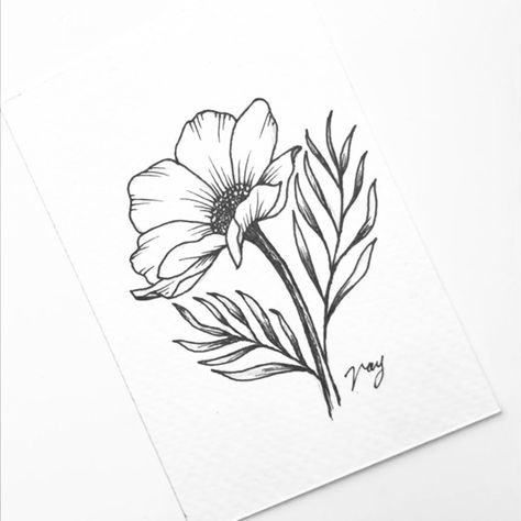 Cosmos Botanical Illustration, Simple Cosmos Tattoo, Cosmos Flower Illustration, Cosmos Sketch, Cosmo Flower Drawing, Cosmo Tattoo Flower, Cosmo Flower Tattoo, Hot Perfume, Cosmos Tattoo