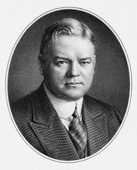 Herbert Hoover President engraved portrait Newspaper Fashion, Herbert Hoover, Stippling, Portrait Illustration, Us Presidents, Wall Street Journal, Family Tree, Old Fashioned, Male Sketch