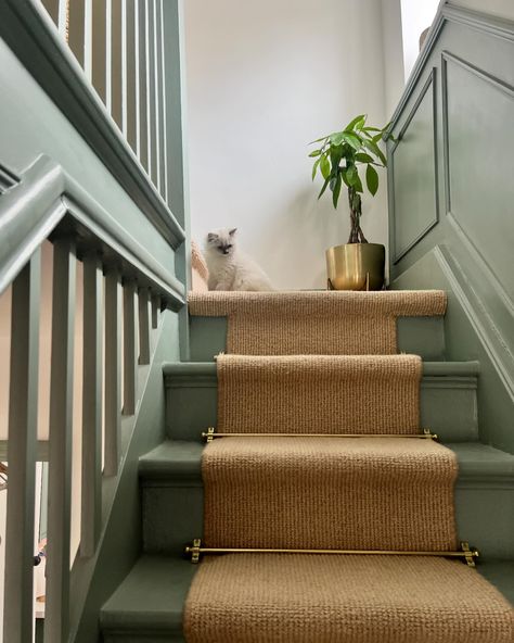 Say hi to Pepper ✨ Our newest member of the family 🫶🏻 she’s the most affectionate and sweetest little kitten I’ve ever met. We’re going to have so much fun 💕 #kitten #ragdoll #ragdollcat #panelling #panellingwalls #hallway #hallwaydecor #hallwayinspo #hallwaydesign #hallwaystyle #mygorgeousgaff #stairrunner #farrowandball #entrance #entrancedecor #howihome #parquet #parquetfloor #homestylinginspo #cornerofmyhome #gallerywall #colourfulinterior #mycolourfulhome #homeideas #girlswhodiy #landi... Stairs And Landing Colour Schemes, Cottage Hallway Ideas, Narrow Stairway Decorating, Small Landing Ideas Upstairs, Kensal Rise, Cottage Hallway, Hallway Panelling, Bedroom Stairs, Green Hallway Ideas