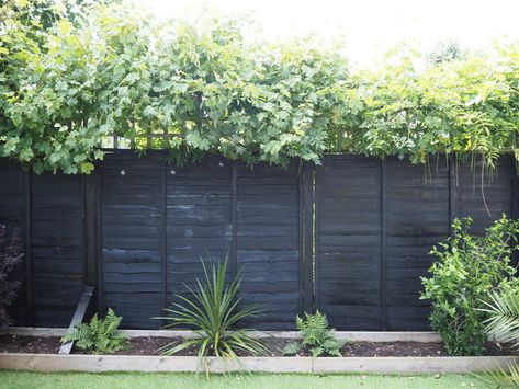 Black Fence Paint, Dark Fence, Black Fences, Ronseal Garden Paint, Black Garden Fence, Garden Fence Paint, Fence Colours, Fence Paint Colours, Painted Fence