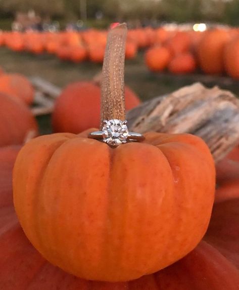 Pumpkin Proposal Ideas, Proposal Ideas Pumpkin Patch, Autumn Proposal Ideas, Witchy Proposal Ideas, Halloween Proposal Ideas Engagement, October Proposal Ideas, Fall Proposal Pictures, Fall Engagement Ideas Proposal, Pumpkin Patch Proposal Ideas