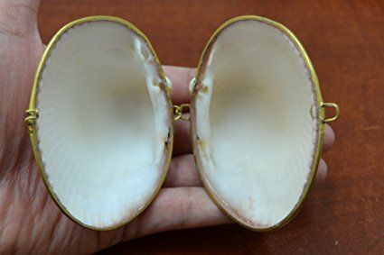 Amazon.com: Cardium Pesodolima Sea Shell Trinket Box Purse: Home & Kitchen Padded Pouch, Box Purse, Purse Jewelry, Sea Shell, Cleaning Jewelry, Summer Girls, Trinket Boxes, Incense, Sea Shells