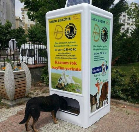 Vending Machine for Stray Dogs | The Bark Stray Animals, Empty Plastic Bottles, Recycling Machines, The Barbarians, Stray Cats, Vending Machines, Stray Cat, Cutest Thing Ever, Vending Machine