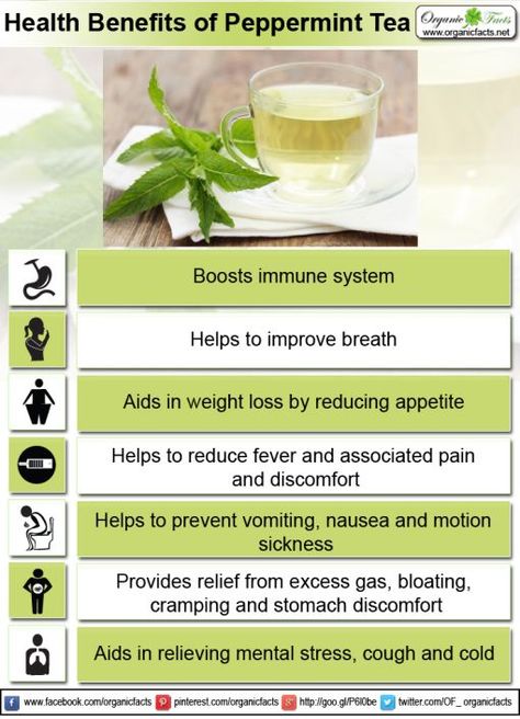 Peppermint tea is a delicious and refreshing way to boost your overall health in a number of ways. Benefits Of Peppermint Tea, Benefits Of Drinking Tea, Benefits Of Peppermint, Peppermint Tea Benefits, Tomato Nutrition, Lemon Benefits, Coconut Health Benefits, Reduce Appetite, Natural Antibiotics