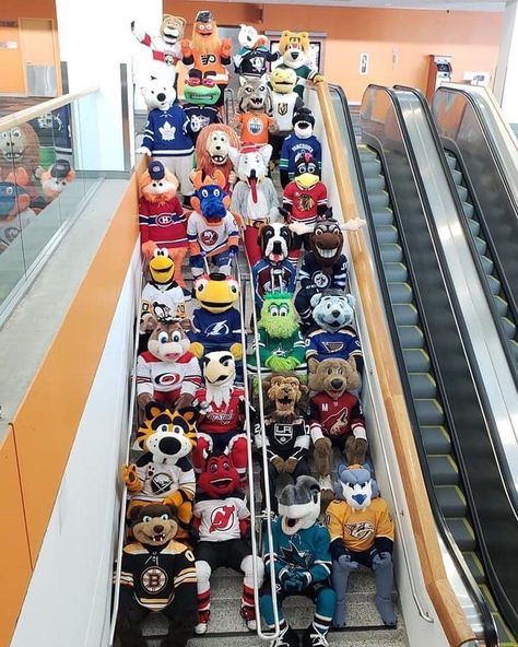 This #RoyalRumble lineup is craazzyyyy! 😲 Nhl Mascots, Nhl Hockey Teams, Nhl All Star Game, Nhl Wallpaper, Picture Organization, Nhl Playoffs, Nhl Logos, Goalie Mask, Nhl Games