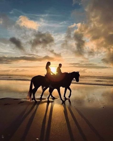 Best Photo Ideas, Beach Wedding Pics, Outdoor Dates, Horse Couple, Horse Photography Poses, Couple Photo Ideas, Loving Couples, Wedding Photoshoot Props, Beautiful Arabian Horses