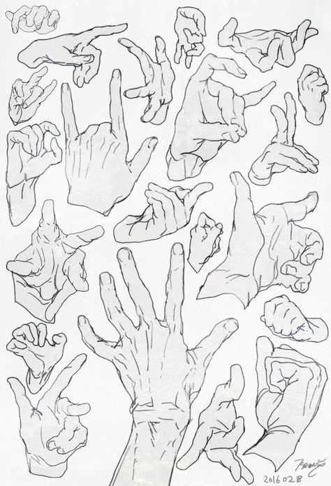 Sketch Tips, Anatomy References, Hand Gestures, Human Anatomy Drawing, Hand Drawing Reference, Human Anatomy Art, Reference Drawing, Body Reference Drawing, Hand Reference