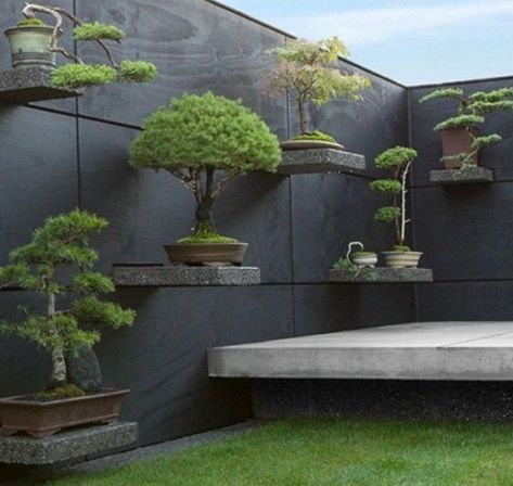 Hottest Photo Japanese Garden fence Concepts Japanese gardens are traditional gardens that creates miniature idealized landscapes, often in a hig Taman Air, نباتات منزلية, Indoor Bonsai, Japanese Garden Design, Walled Garden, Have Inspiration, Bonsai Plants, Bonsai Trees, Bonsai Garden