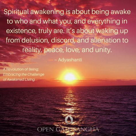 Adyashanti Quotes, Divine Oneness, Indian Wisdom, Amused Quotes, Light Worker, Awakening Consciousness, Mystery School, Heart Knot, Cognitive Dissonance