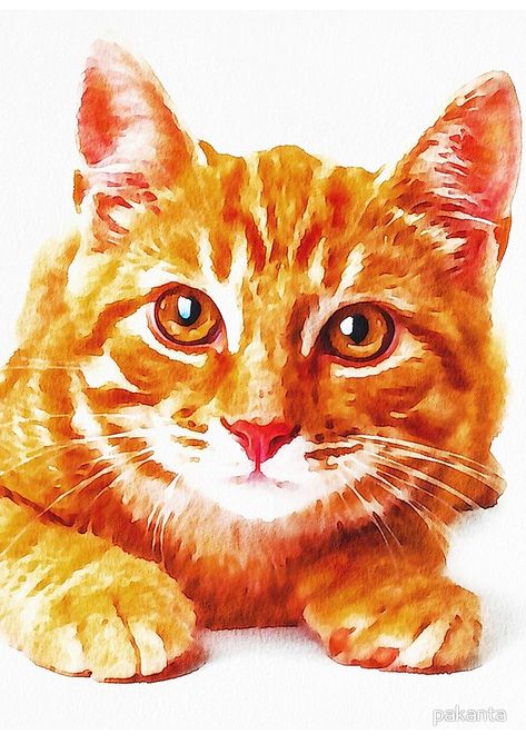 Yellow Cat Yellow Cat Drawing, Ginger Cat Drawing, Watercolor Cat Easy, Orange Cat Watercolor, Orange Cat Drawing, Ginger Cat Painting, Orange Cat Art, Ginger Cat Art, Cat Journal