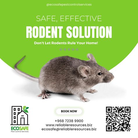 🚫🐭 Safe, Effective Rodent Solutions with ECOSAFE! 🌟 Don't let rodents rule your home! Our expert team at ECOSAFE Pest Control provides safe and effective rodent control solutions to keep your space pest-free and healthy. Contact us today for professional rodent control services! 📞 +968 7238 9900 | +968 7237 9900 📧 ecosafe@reliableresources.biz 🌐 www.reliableresources.biz . . . . . . . . . . . #ECOSAFE #RodentControl #PestControl #Muscat #Oman #PestFree #HomeSafety #HealthyLiving #Professio... Muscat Oman, Rodent Control, Bug Control, Pest Control Services, Muscat, Home Safety, Rodents, Pest Control, Oman