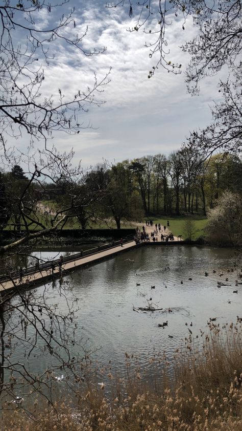 i took this whilst harnessed onto a tree. #scenery #wildlife #coombeabbey #park #coventry #aesthetic Coventry Aesthetic, Coventry Uk Aesthetic, Clybourne Park, London Parks Aesthetic, Coventry University, Coventry City Fc, Coventry City, Coventry