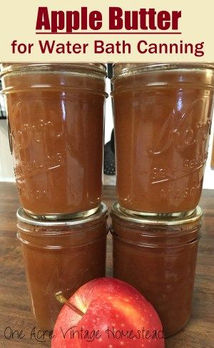 Canning Apples, Apple Butter Crock Pot, Slow Cooker Apple Butter, Diy Survival, Apple Butter Recipe, Homemade Apple Butter, Canning Fruit, Home Canning Recipes, Crock Pot Recipe