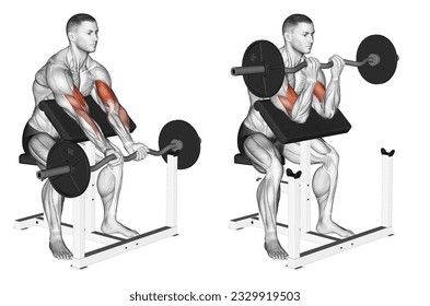 Standing Leg Raises, Upper Arm Exercises, Arms Exercise, Side Angle Pose, Seated Leg Curl, Body Fat Measurement, Assisted Pull Ups, T Bar Row, Barbell Row