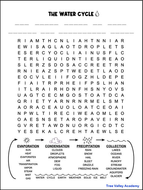 Free printable water cycle word search. Idea for students 5th grade and older who are learning about the water cycle in science class. 40 hidden water cycle themed words to find and circle. The remaining letters will spell an educational mystery message about the water cycle. Pdf of this fun activity sheet includes answers. The Water Cycle Activities, Middle School Activity Sheets, The Water Cycle, Water Worksheet For Grade 1, Worksheet On Water For Grade 2, The Water Cycle Worksheet, Water Cycle Worksheet 2nd, Water Cycle Second Grade, Water Cycle Lesson Plan 2nd Grade