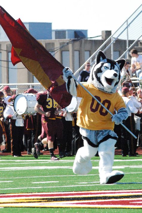 Bloomsburg University Football - Go Huskies! Bloomsburg University, Bloomsburg Pa, Susquehanna River, College Board, Dream College, Davy Jones, Those Were The Days, Space Ideas, College Fun