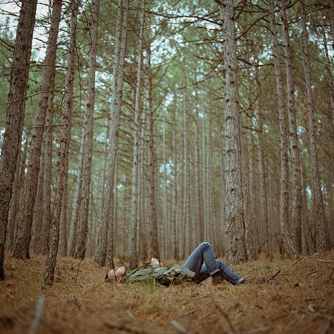 Taking it all in Tall Trees, Camping Fun, Air Travel, Back To Nature, Outdoor Life, Go Outside, The Great Outdoors, Happy Places, Photography Inspiration