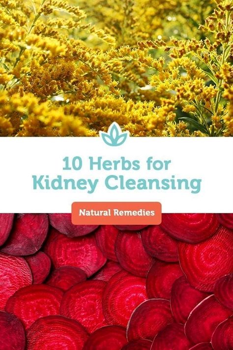 A healthy diet, exercise, and staying hydrated are essential for supporting your kidneys. For a little extra help, consider the following kidney cleansing herbs. #kidneycleanseherbs #herbsforcleansing #kidneycleansing Kidney Cleanse Natural, Turmeric Curcumin Benefits, Cleansing Herbs, Turmeric Pills, Water For Health, Turmeric Spice, Turmeric Water, Kidney Detox, Turmeric Vitamins