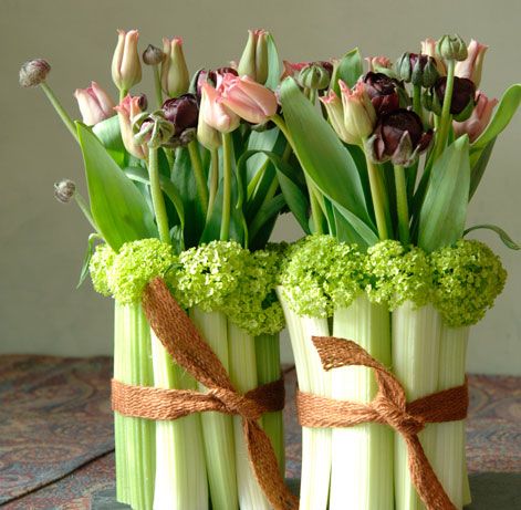 veg with flowers Easy Centerpieces, Decoration Plants, Plant Styling, Carrot Flowers, Plants Aesthetic, Decorative Plants, Flower House, Aesthetic House, Plants Ideas