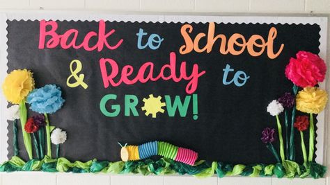 Back to school and ready to grow. Bulletin board. Colorful Back To School Bulletin Boards, Here We Grow Bulletin Board, Preschool Bulletin Boards Back To School All About Me, Together We Grow Bulletin Board, Ready To Grow Bulletin Boards, Bloom Bulletin Board Ideas, Plant School Theme, Back To School Bulletin Boards Toddlers, Back To Preschool Bulletin Boards