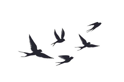 Swallow Silhouette, Flying Bird Vector, Bird Silhouette Tattoos, Tattoo Fly, Birds Silhouette, Flying Bird Silhouette, Little Bird Tattoos, Vogel Silhouette, Silhouette Tattoo