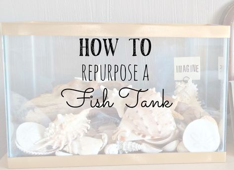 Repurposed Fish Tank Old Fish Tank Ideas, Repurposed Fish Tank, Shabby Chic Living Room Ideas, Chic Living Room Ideas, Recycled Containers, Shabby Chic Salon, Large Terrarium, Shabby Chic Office, Shabby Chic Desk