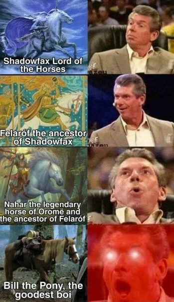 Lord Of Rings, Earth Memes, Lotr Funny, Film Anime, Jrr Tolkien, Legolas, Funniest Memes, Fan Fiction, Middle Earth