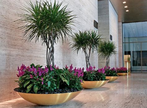 Plant Interior, Interior Design Plants, Tropical Garden Design, Front Garden Landscape, نباتات منزلية, Potted Plants Outdoor, Plant Decor Indoor, Outdoor Gardens Design, Outdoor Flowers