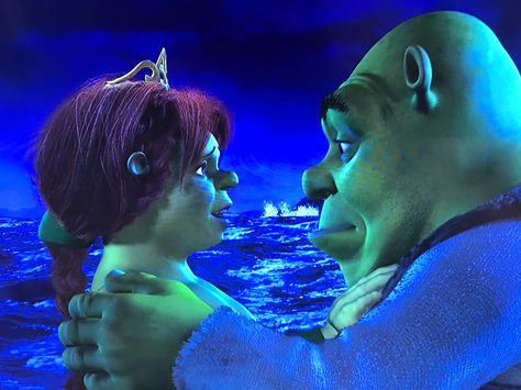 Shrek And Fiona, Princess Fiona, Marriage Certificate, Shrek, Dreamworks, Disney Pixar, Pixar, Favorite Character, Concert