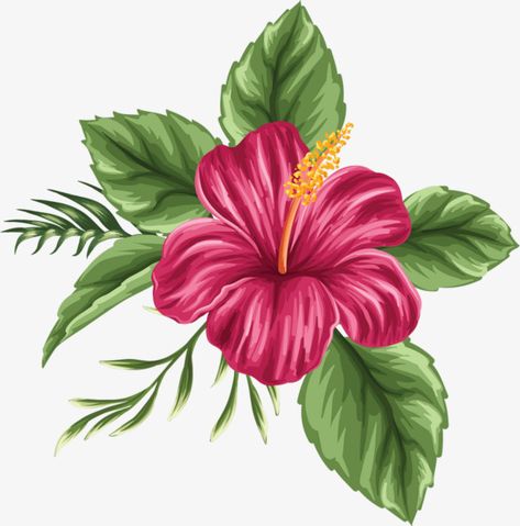 hibiscus flower,flowers,leaf,green leaves,cartoon,float,hibiscus,flower,green,leaves,hand clipart,painted clipart,hibiscus clipart,flower clipart Hibiscus Flower Drawing, Plant Drawing, Hawaiian Flowers, Flower Clipart, Hibiscus Flower, Digital Flowers, Flower Art Painting, Arte Floral, Hibiscus Flowers