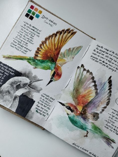 Bird Study Sketch, Sketch Book Studies, Birds Gcse Art, Bird Sketchbook Pages, Gcse Art Sketchbook Animals, Bird Study Drawing, Bird Journal Ideas, Nature Artists Gcse, Gcse Art Animals